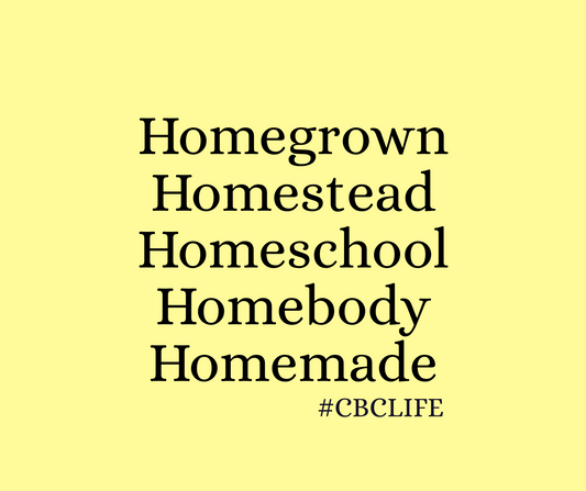 CBCLIFE-homestead tshirt