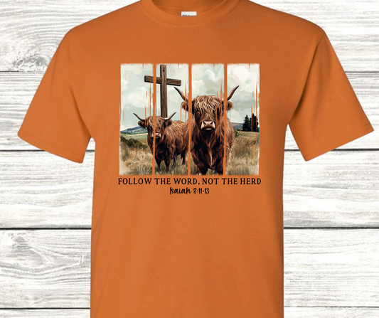 MBSC - Follow the word not the herd b.orange